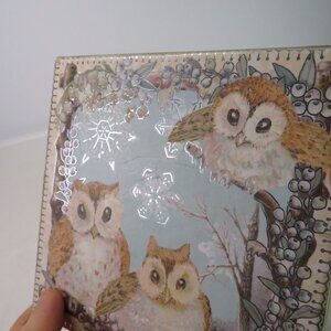 Winter Owl silver metallic foiled Gift Box/Storage Box (easy open) ready to gift